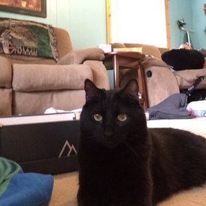 Meet your Posher, Anna